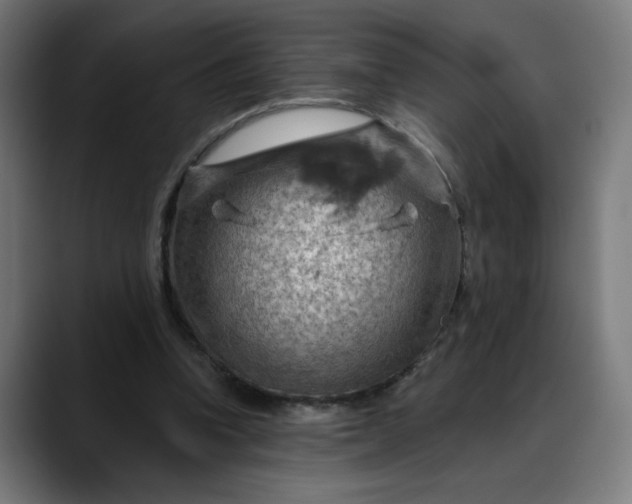 X0000088060346200705251347