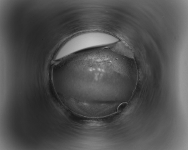 X0000088060347200705251347