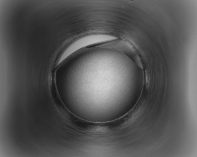 X0000088060348200705251347