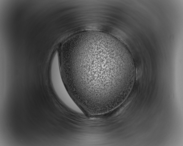 X0000088060349200705251347