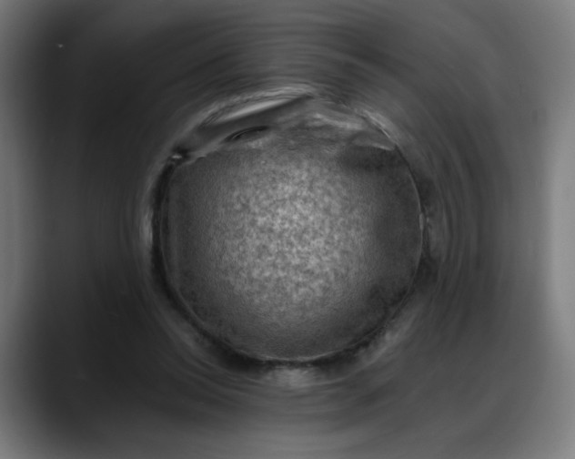 X0000088060350200705251347