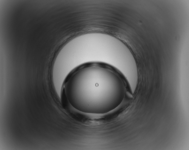 X0000088060352200705251347