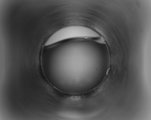X0000088060353200705251347