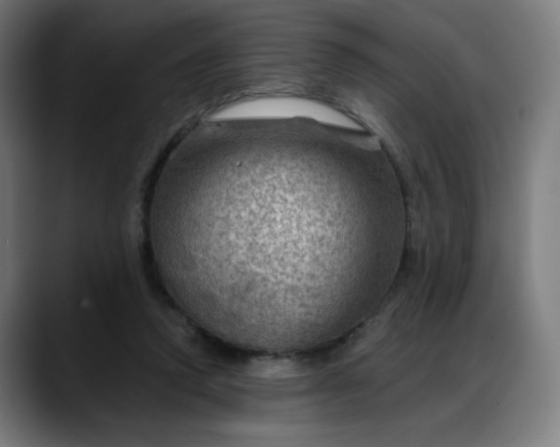 X0000088060354200705251347
