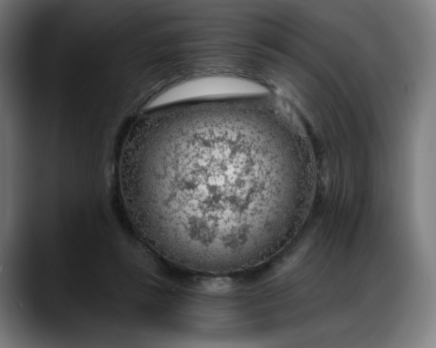 X0000088060355200705251347