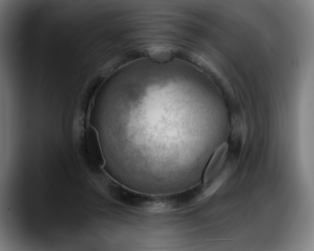 X0000088060356200705251347