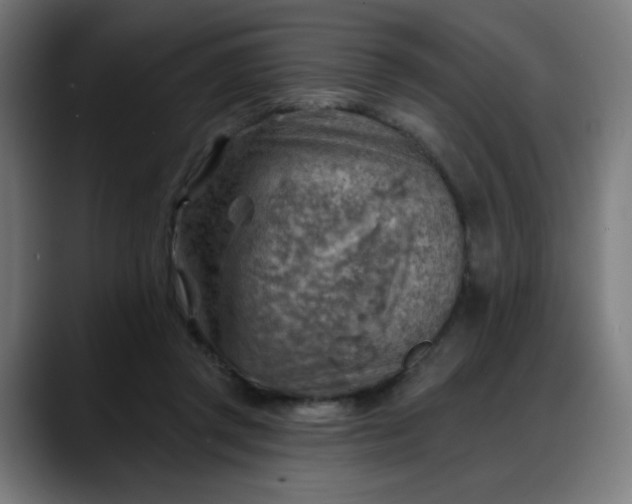 X0000088060357200705251347