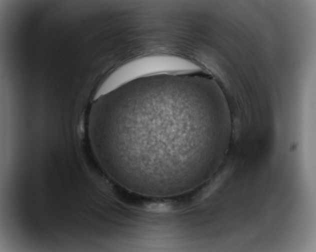 X0000088060358200705251347