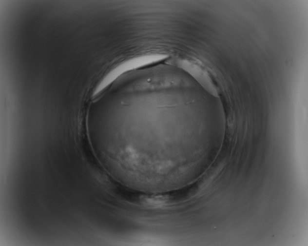 X0000088060359200705251347