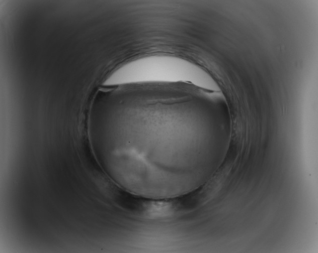 X0000088060361200705251347