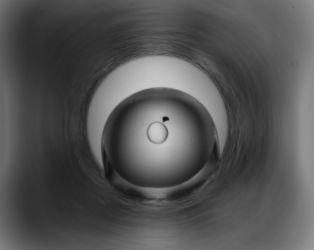 X0000088060362200705251347
