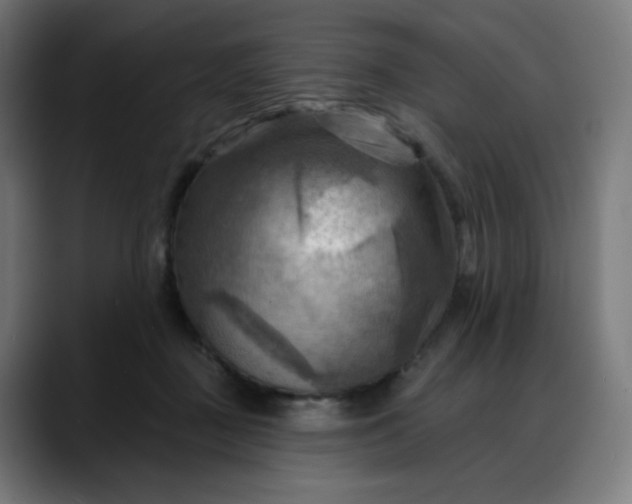 X0000088060363200705251347