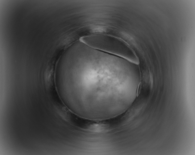 X0000088060364200705251347