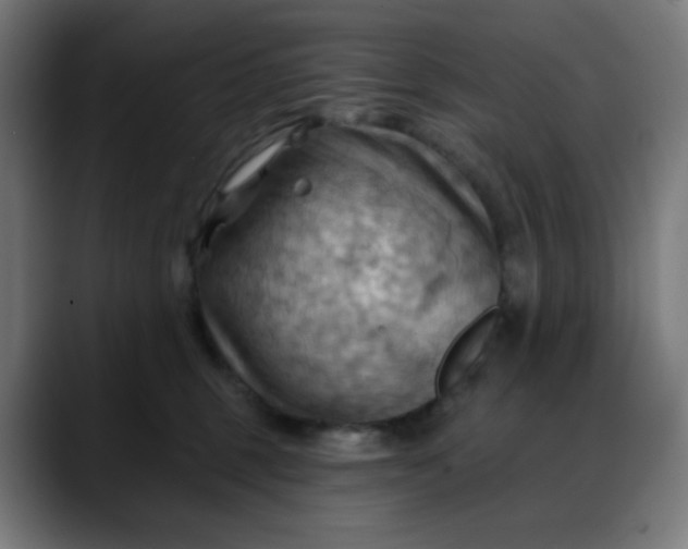 X0000088060375200705251347