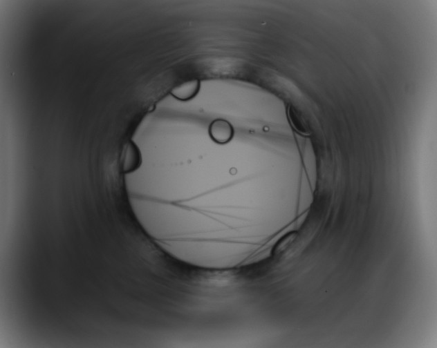 X0000088060377200705251347