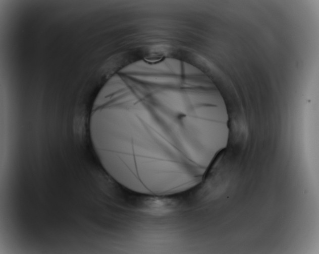 X0000088060379200705251347