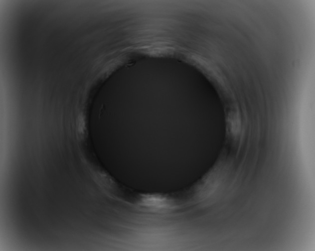 X0000088060380200705251347