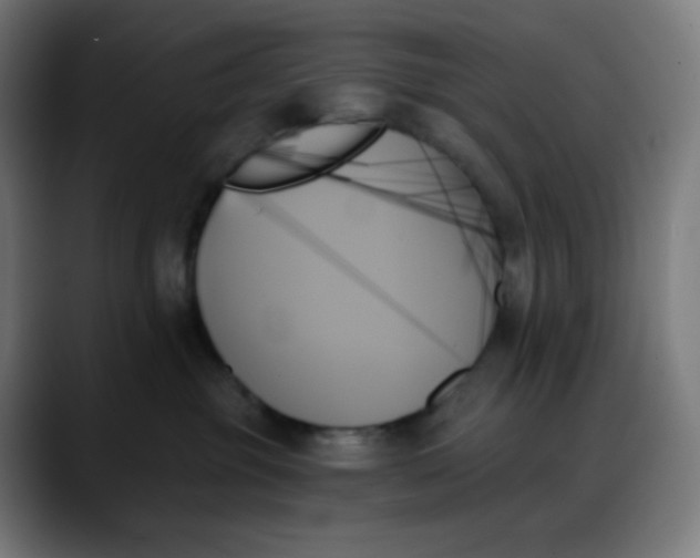 X0000088060381200705251347