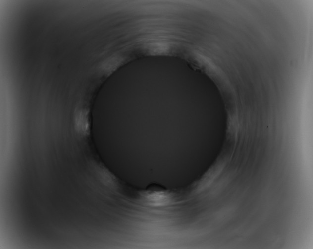 X0000088060383200705251347