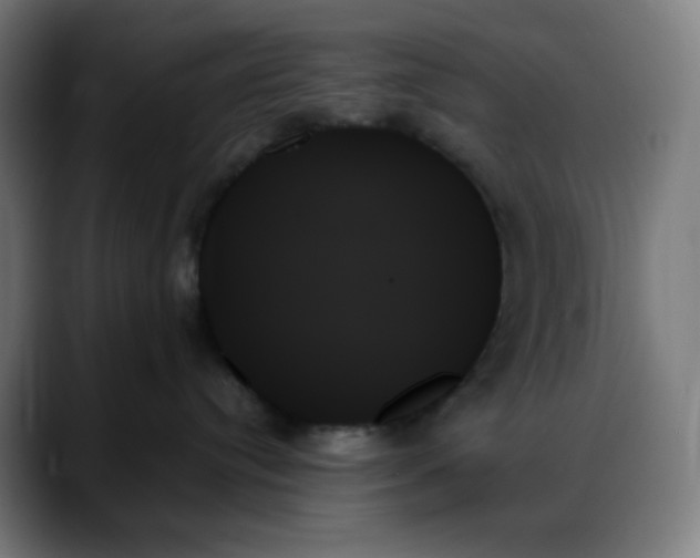 X0000088060384200705251347