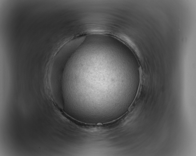 X0000088060385200705251347