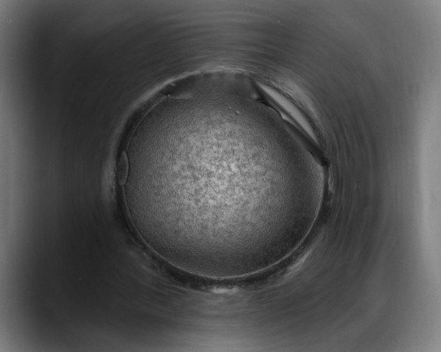 X0000088060388200705251346