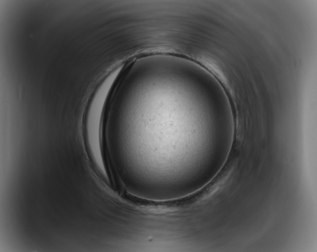 X0000088060389200705251346