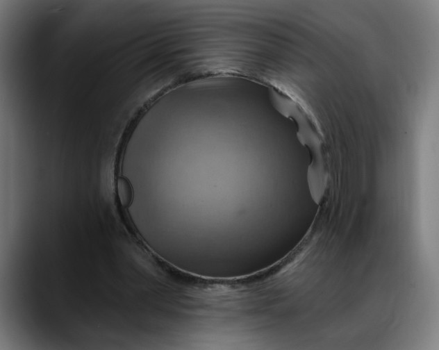X0000088060390200705251346