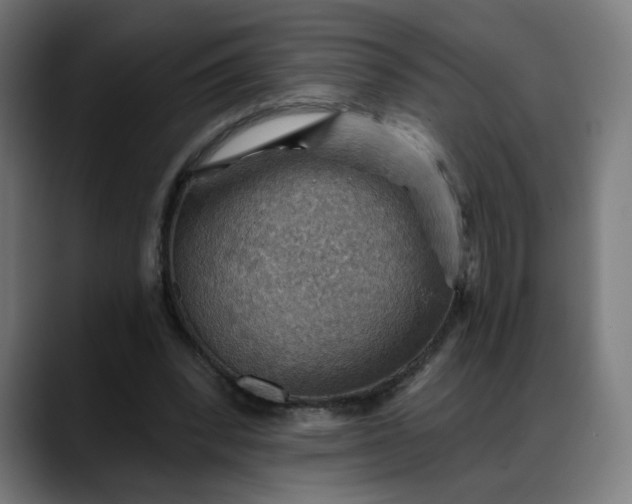 X0000088060392200705251346
