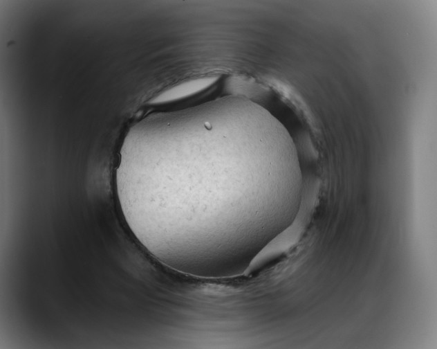 X0000088060393200705251346