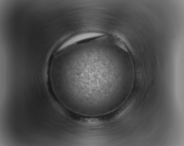 X0000088060395200705251346