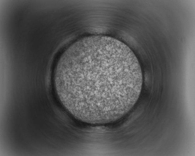 X0000088060396200705251346