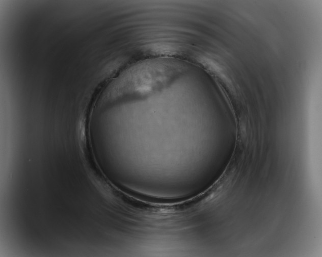 X0000088060398200705251346