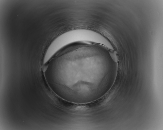 X0000088060401200705251346
