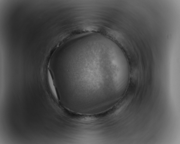 X0000088060402200705251346