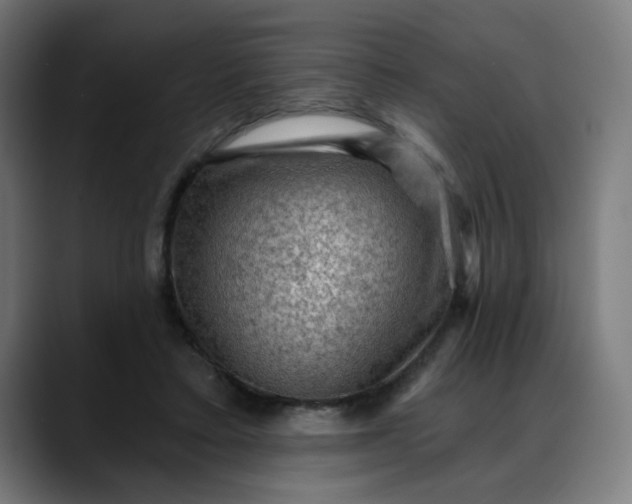 X0000088060403200705251346