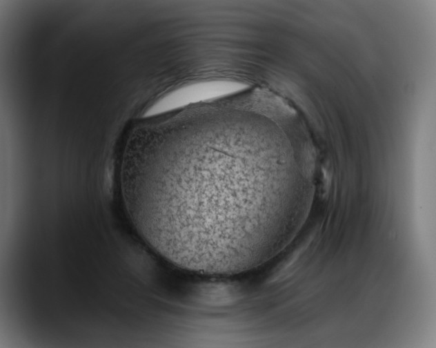 X0000088060404200705251346
