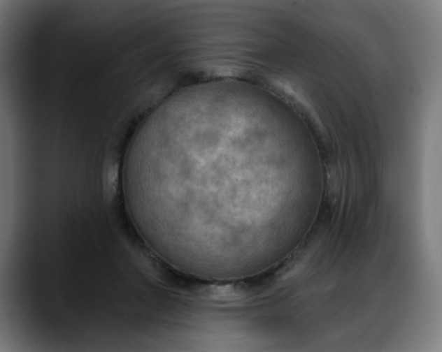 X0000088060406200705251346