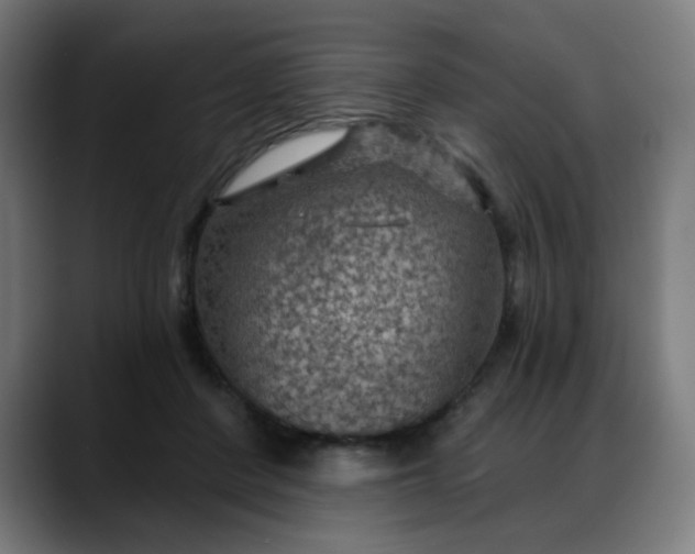 X0000088060408200705251346