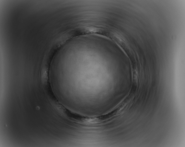 X0000088060410200705251346