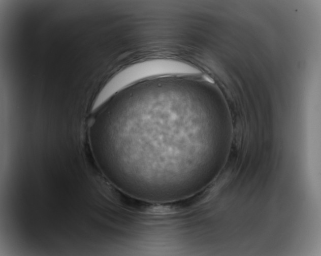 X0000088060413200705251346
