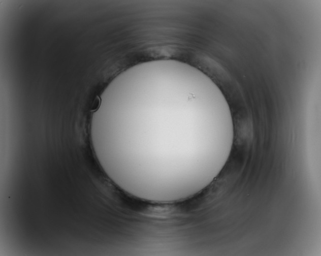 X0000088060414200705251346