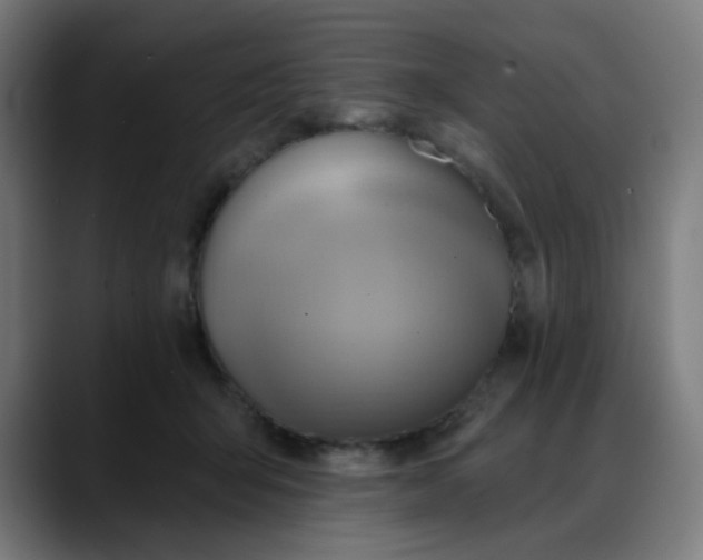 X0000088060415200705251346