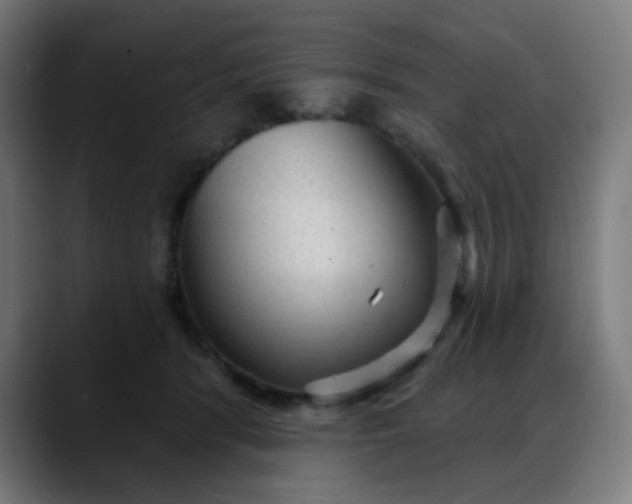 X0000088060416200705251346
