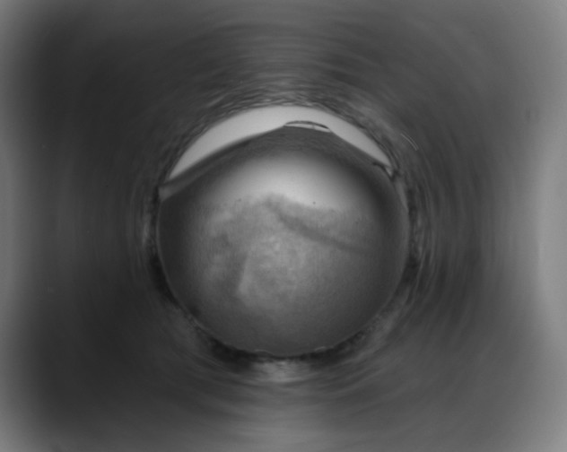 X0000088060417200705251346