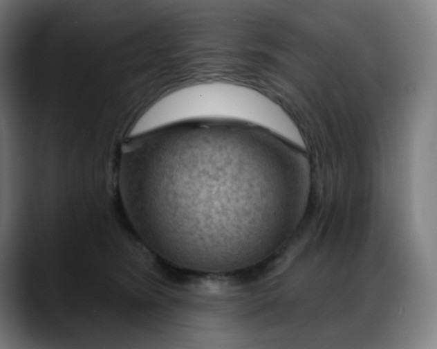 X0000088060420200705251346