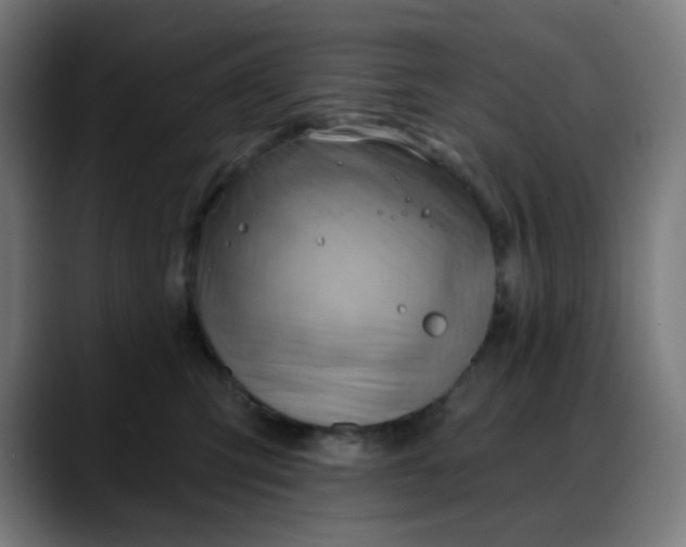 X0000088060423200705251346