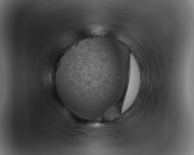X0000088060424200705251346