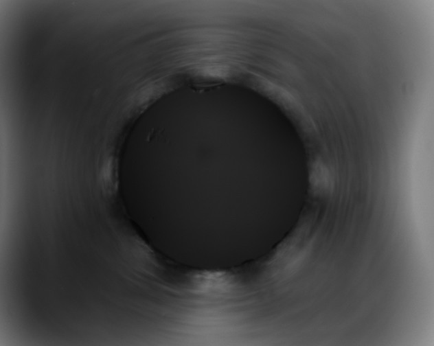 X0000088060428200705251346