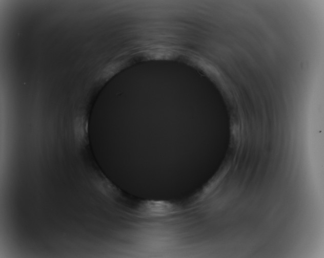 X0000088060429200705251346